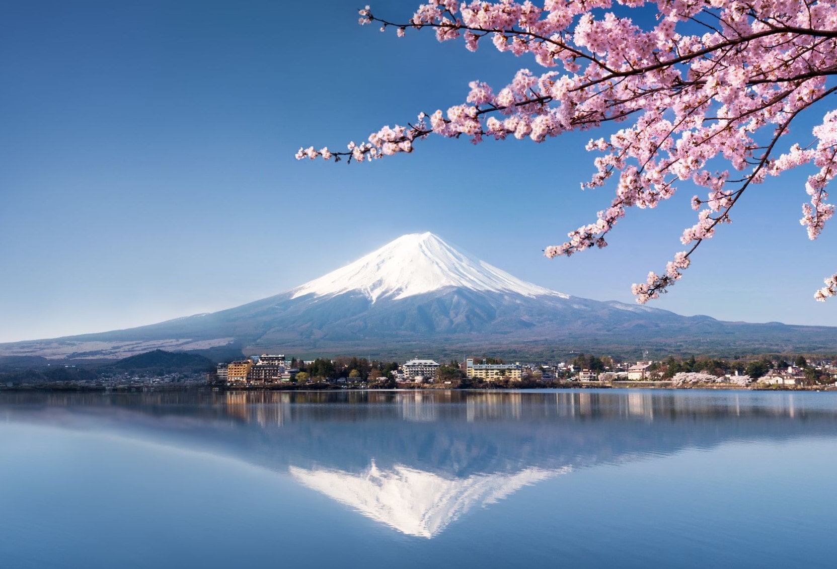 Explore Explicit Japon Teen Sex - Forbidden Worlds Revealed